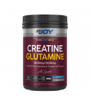 Bigjoy Big2 Creatine+Glutamine Aromasız