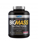 Bigjoy BigMass +Gh Factors Çilek