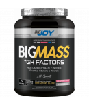 Bigjoy BigMass +Gh Factor  Çilek