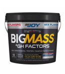 Bigjoy BigMass +Gh Factors Mix